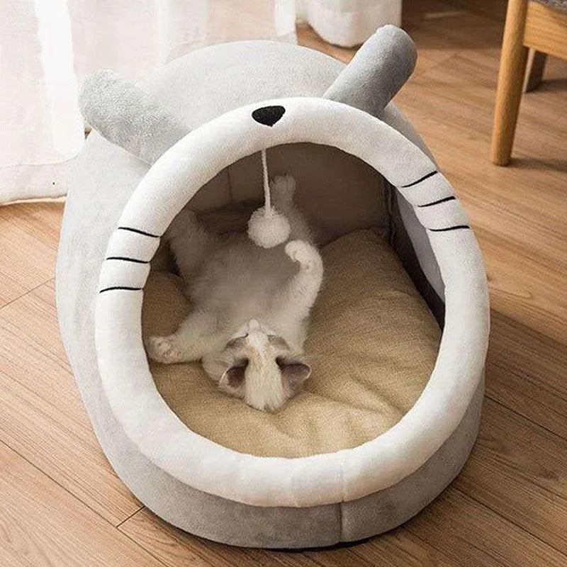PET HOUSE